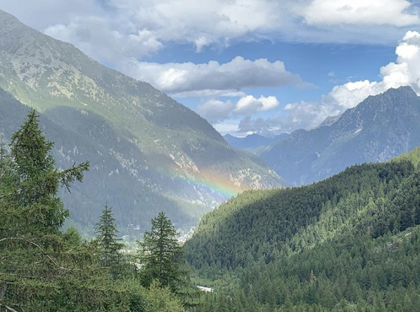 Burki settembre 2020